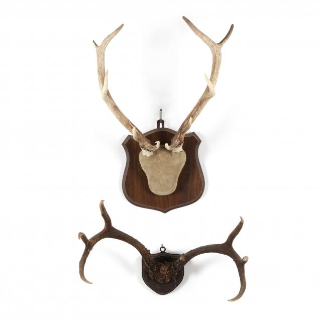 two-stag-antler-wall-mounts