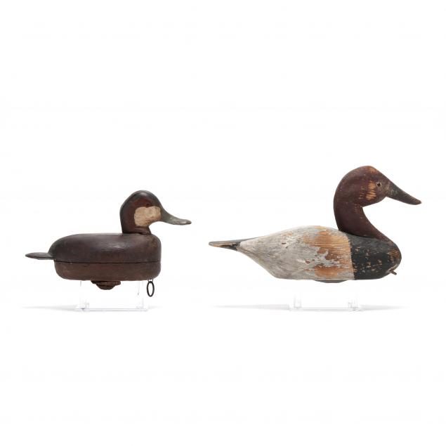two-decoys-canvasback-and-ruddy-duck