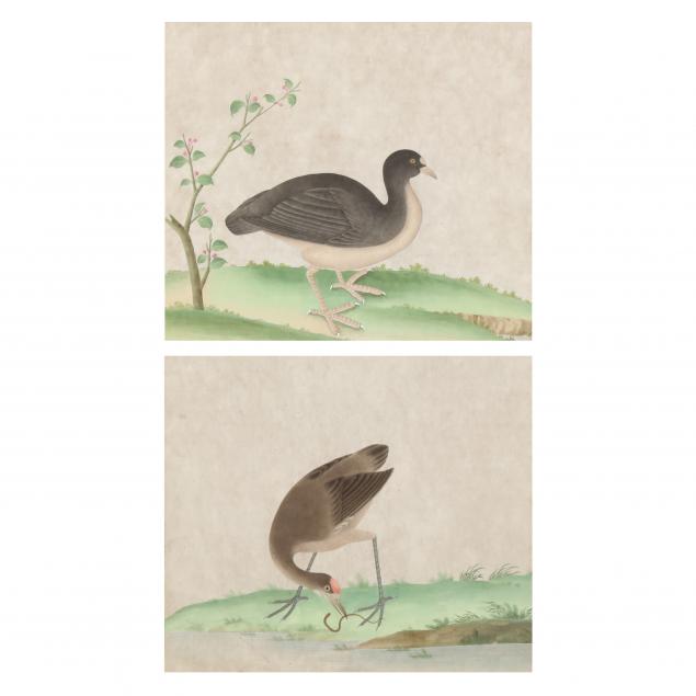 a-pair-of-chinese-export-watercolor-bird-paintings