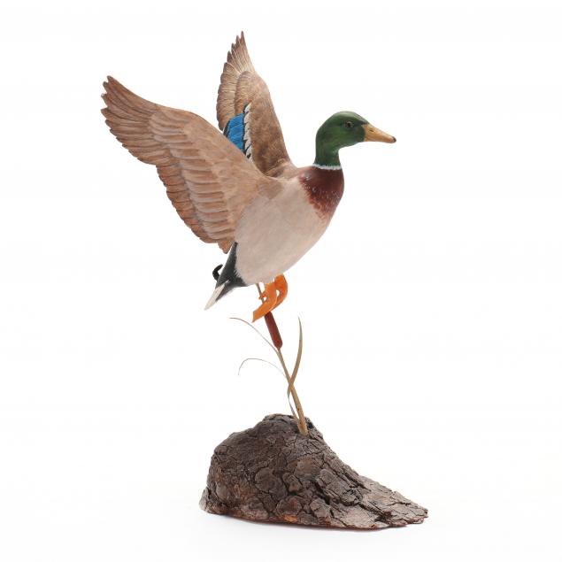 bill-chrisman-va-mallard-drake-in-flight
