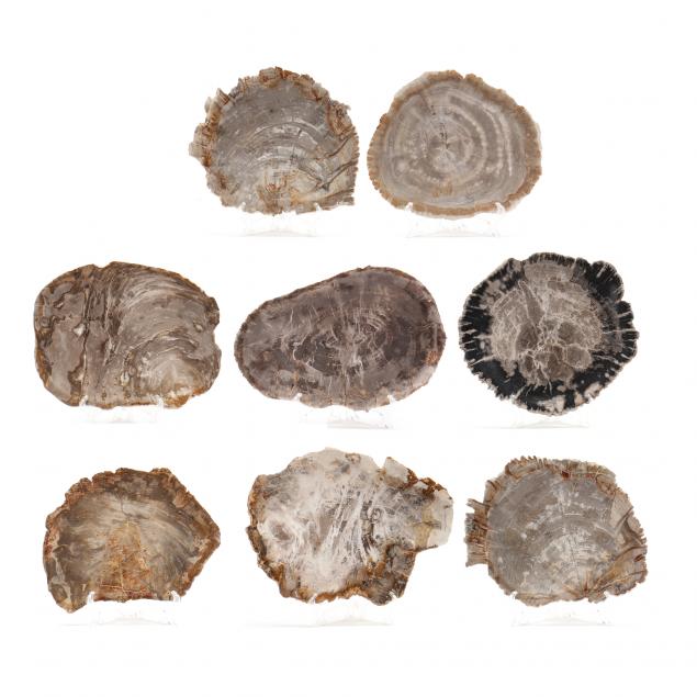 palecek-collection-of-eight-petrified-wood-dishes