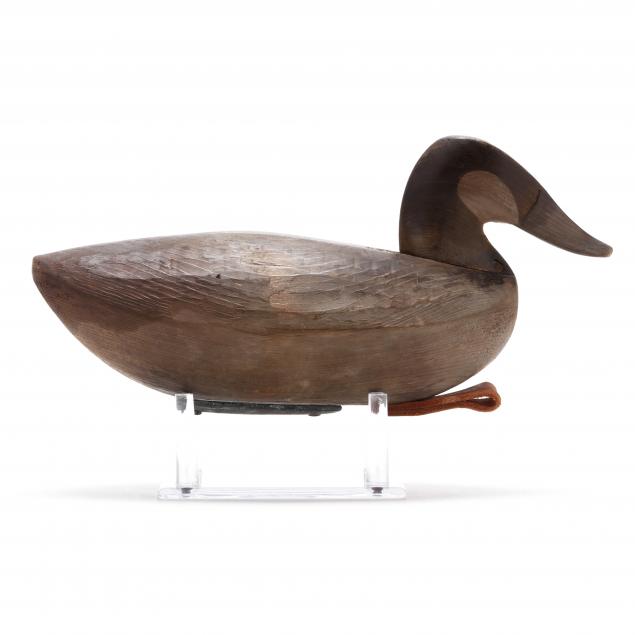 casey-arthur-nc-b-1983-ruddy-duck