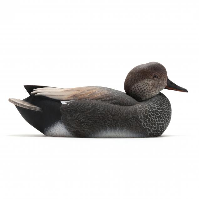 ivie-elliot-jr-nc-gadwall