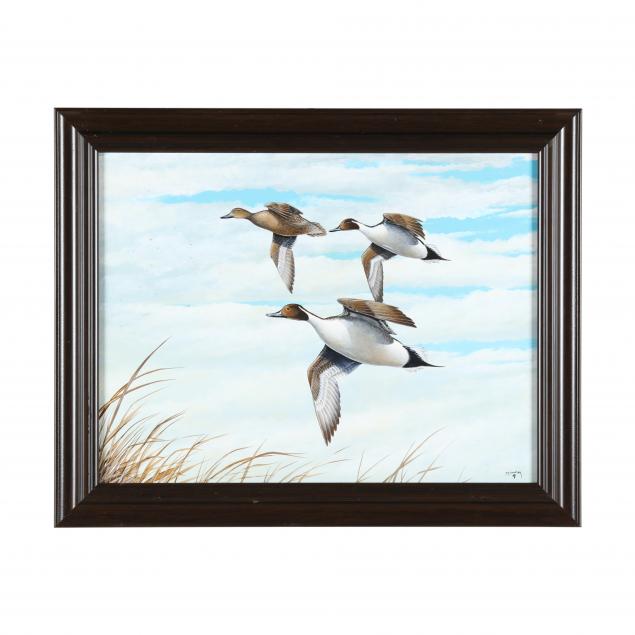 lee-mauney-nc-flying-pintails