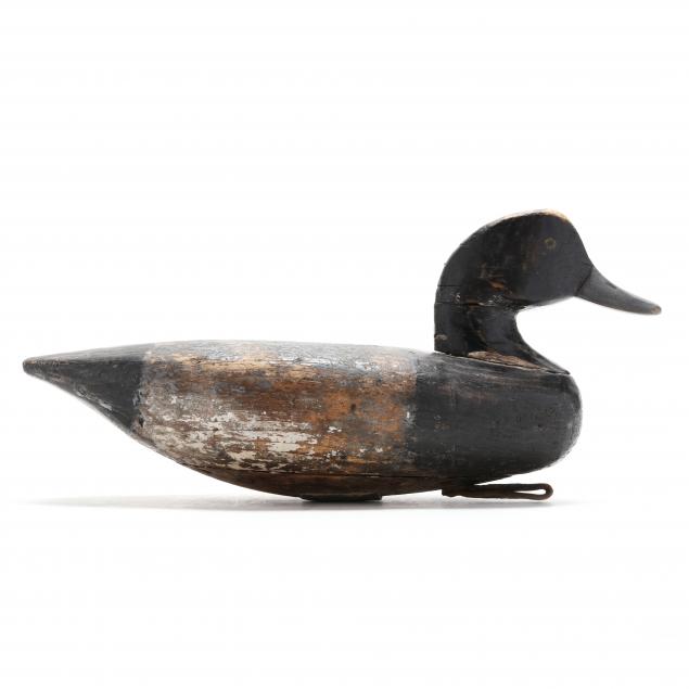 early-delaware-river-bluebill