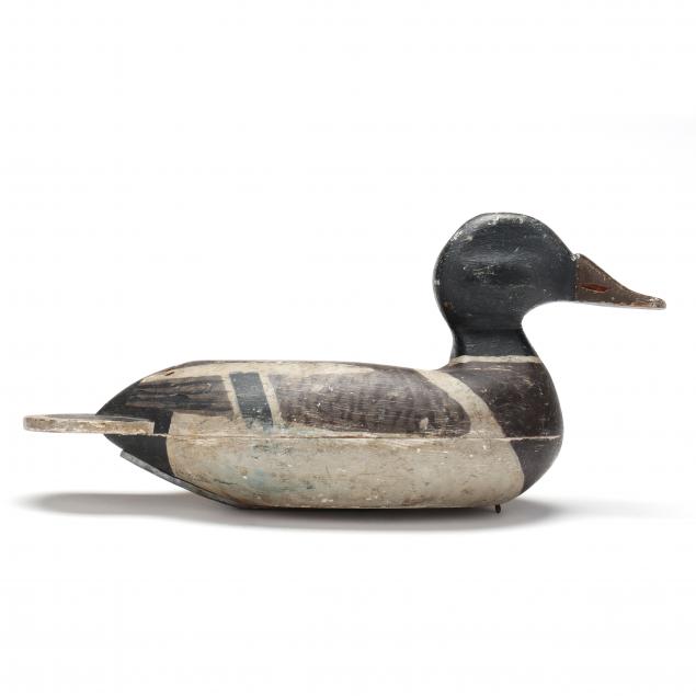 early-midwest-mallard
