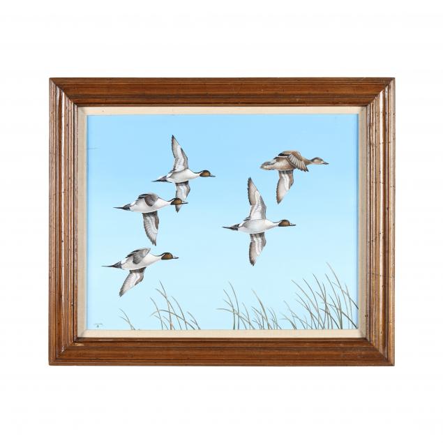 lee-mauney-american-flying-pintails