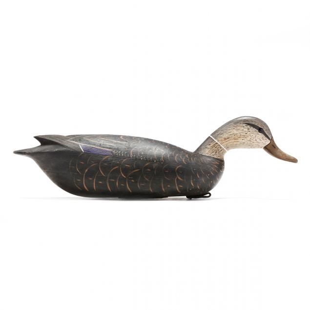 william-ethington-nj-swimming-black-duck