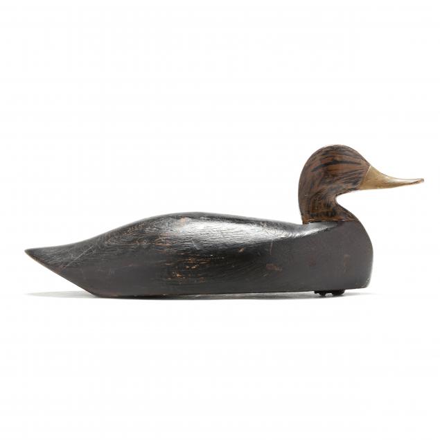 l-m-cranmer-nj-black-duck