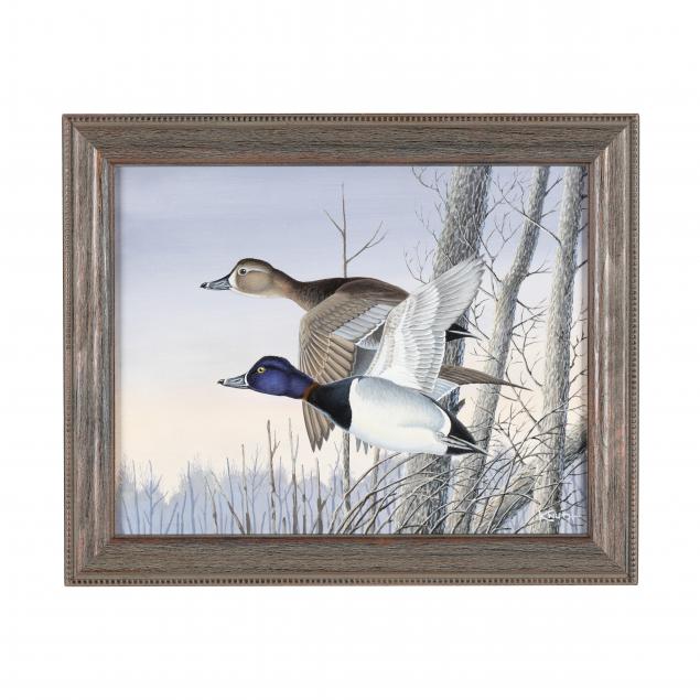 carl-knuth-american-1937-2020-flying-swamp-ring-necks
