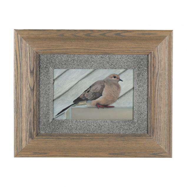 leslie-macon-nc-pigeon-perched-on-a-roof