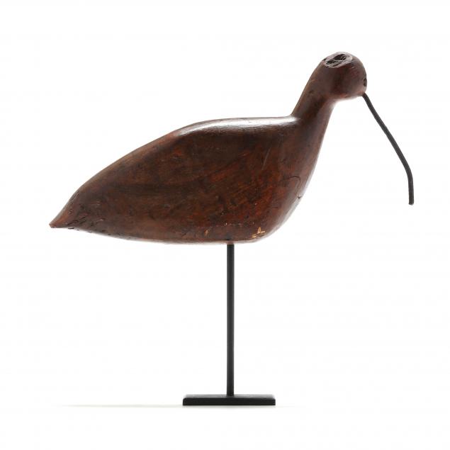 early-paramore-island-virginia-curlew