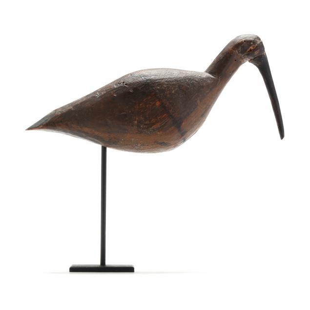 early-eastern-shore-virginia-feeding-curlew