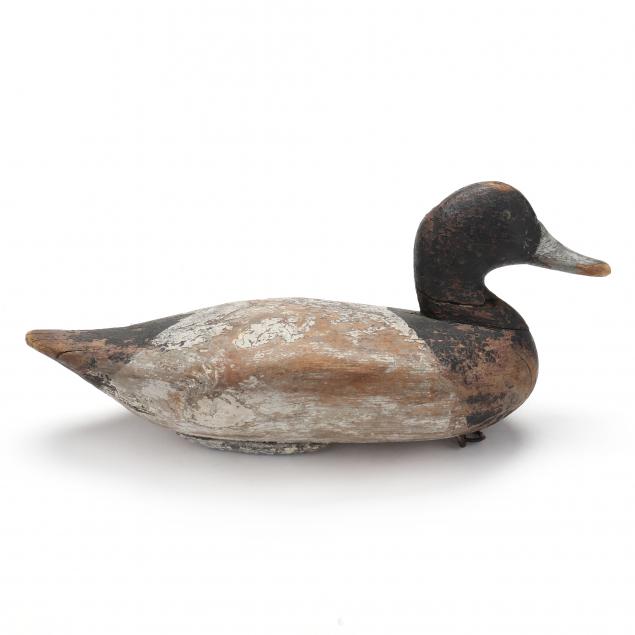 james-holly-md-1855-1935-bluebill