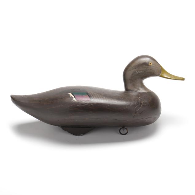 madison-mitchell-md-1901-1993-black-duck