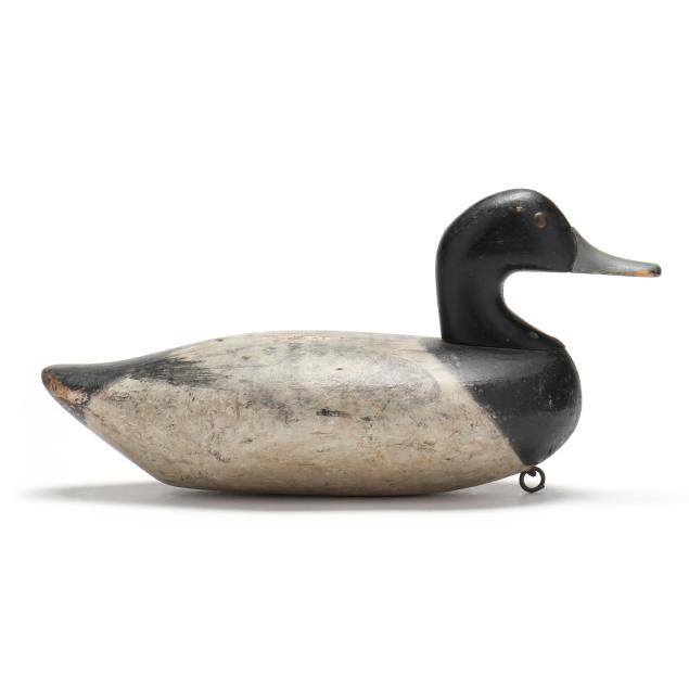 james-jim-holly-md-1855-1935-bluebill