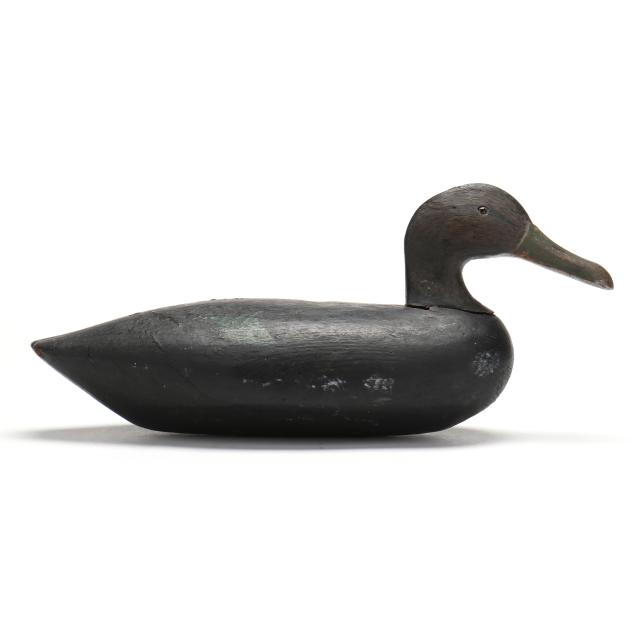 alma-fichett-va-black-duck