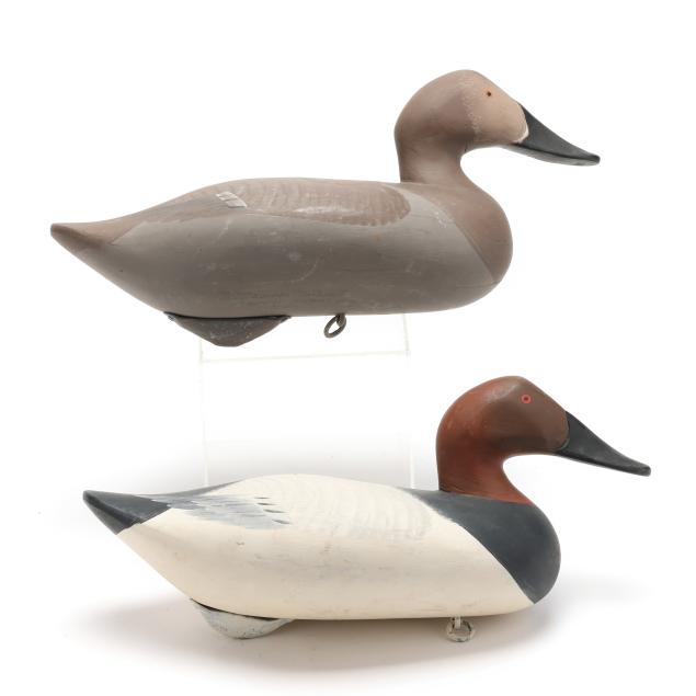 madison-mitchell-md-1901-1993-pair-of-canvasbacks