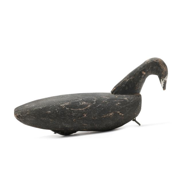 issac-ike-aydlett-nc-1885-1979-swimming-coot
