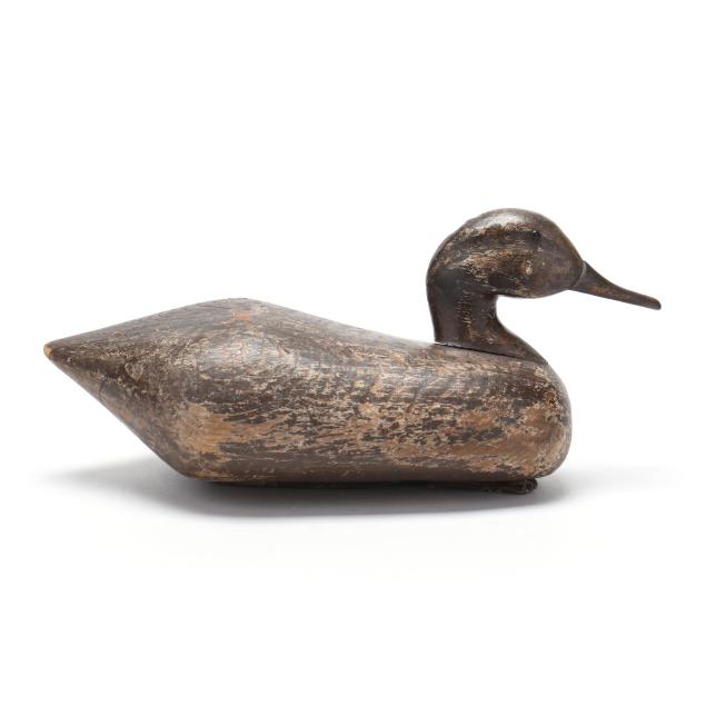 sam-smith-ny-swan-island-club-hen-pintail