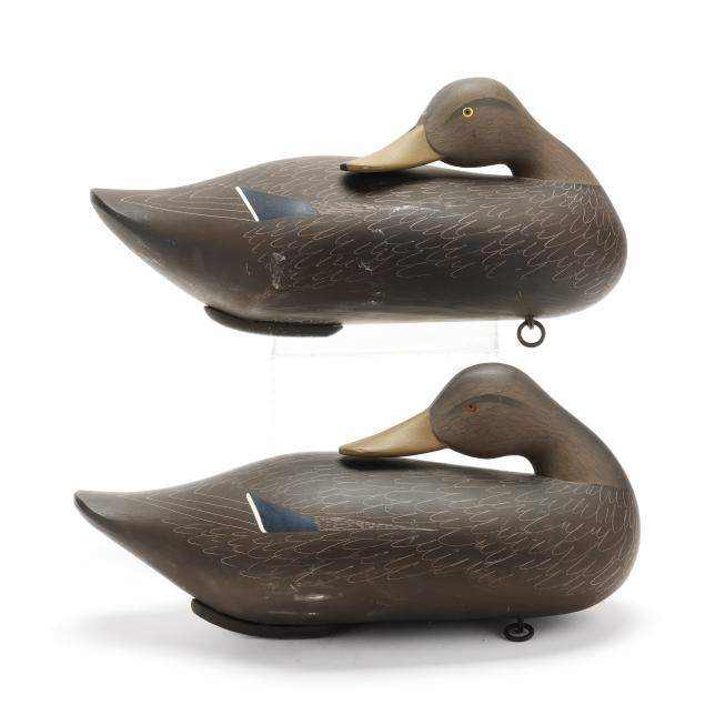 charlie-bryan-md-1920-2008-two-sleeping-black-ducks