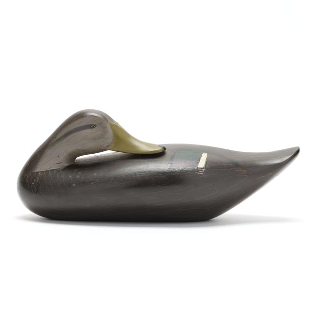 madison-mitchell-md-1901-1993-sleeping-black-duck