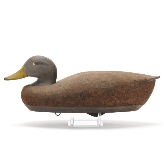 madison-mitchell-md-1901-1993-oversized-black-duck