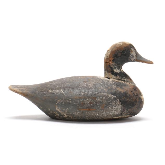 august-heinefeld-md-1883-1952-bluebill