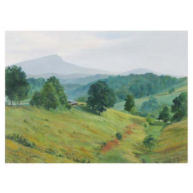 rebecca-fagg-nc-i-nelson-s-stokes-county-i