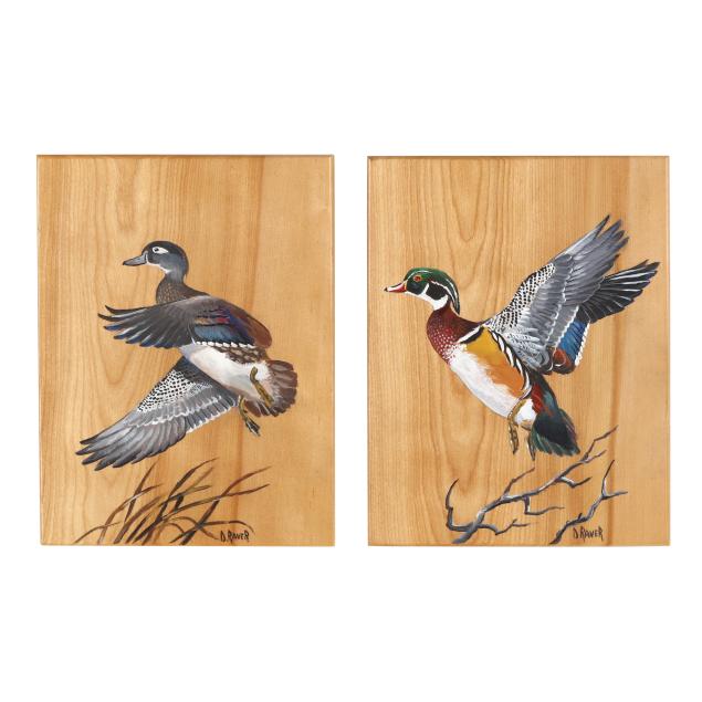 duane-raver-nc-1927-2022-two-wood-ducks-on-presentation-boards