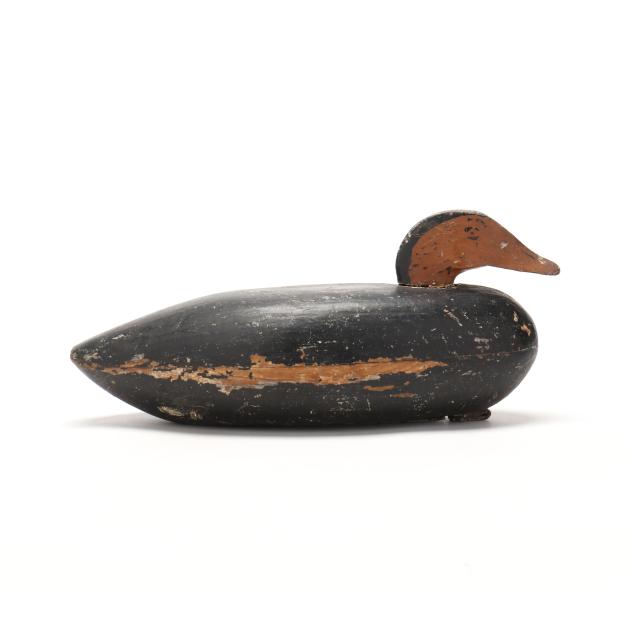 william-goffington-va-black-duck