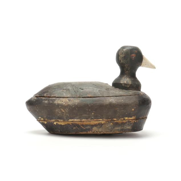 knotts-island-knob-heat-coot
