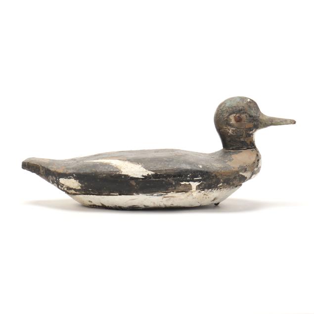 camden-county-hooded-merganser