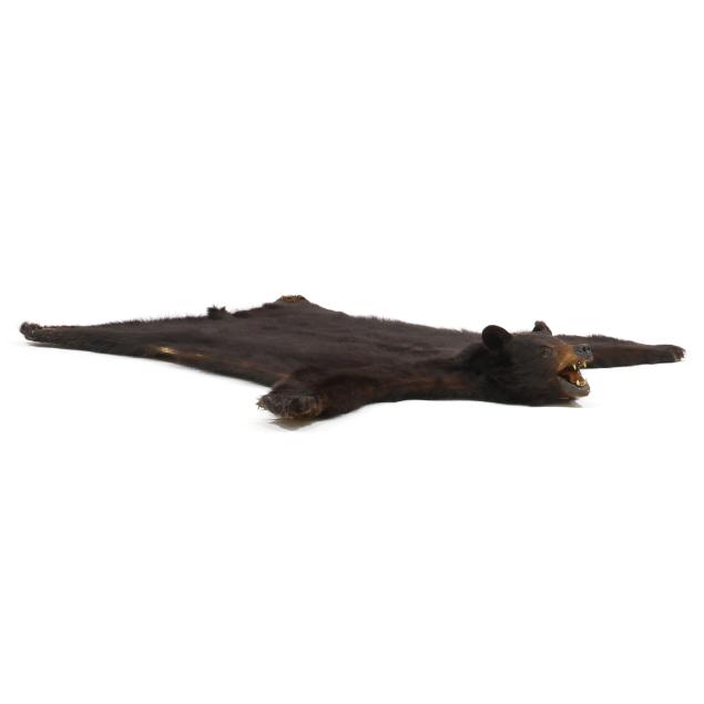 vintage-wall-mount-black-bear-taxidermy