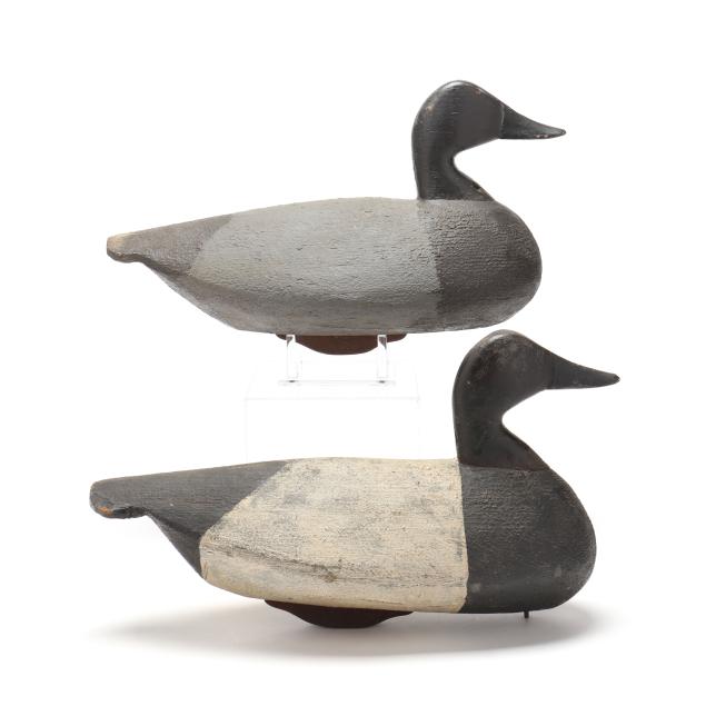 ned-burgess-nc-1868-1958-pair-of-oversized-canvasbacks