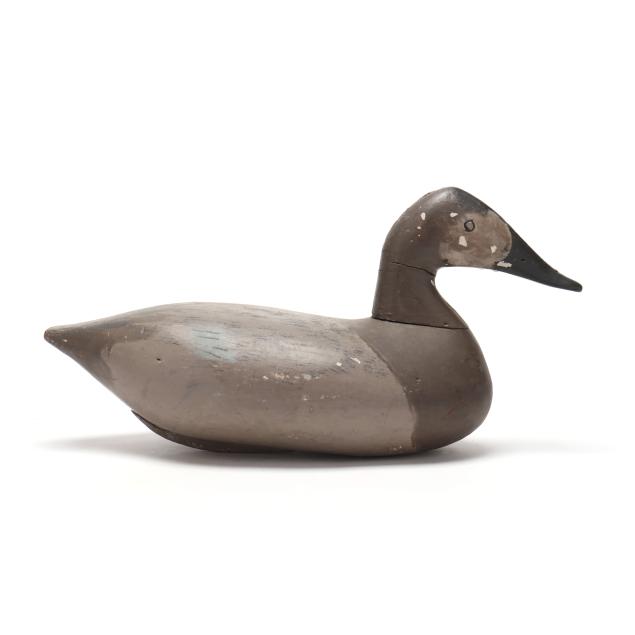 stanley-evans-md-1887-1979-hen-canvasback