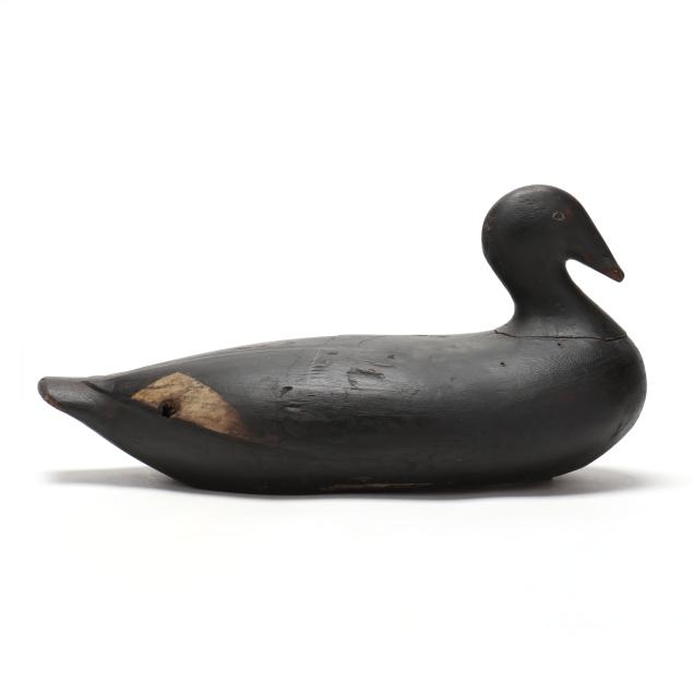 augustus-gus-wilson-me-1864-1950-white-winged-scoter