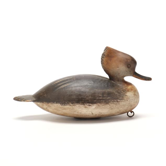 mark-daisey-va-hooded-merganser