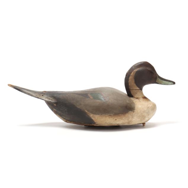 early-crisfield-pintail