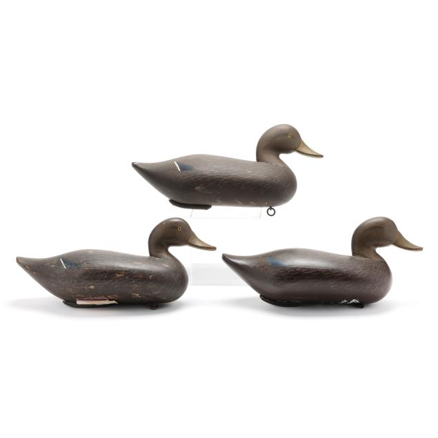 charlie-bryan-md-1920-2008-three-black-ducks