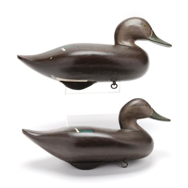 madison-mitchell-md-1901-1993-two-black-ducks