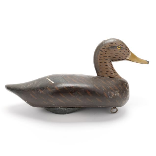 captn-jesse-urie-md-1901-1978-black-duck
