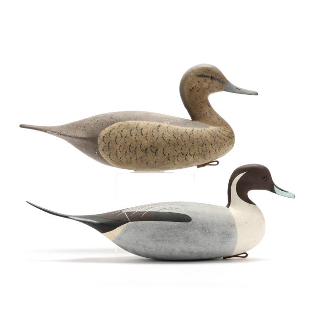 william-oler-nj-pair-of-pintails