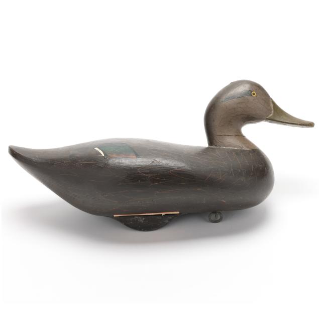 madison-mitchell-md-1901-1993-black-duck