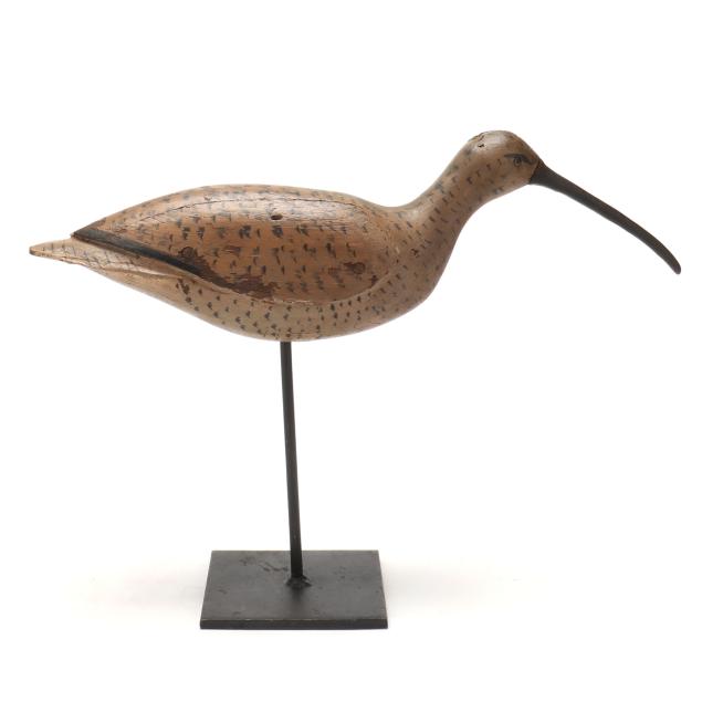 early-eastern-shore-virginia-curlew