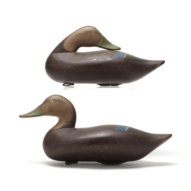 bryon-bodt-md-pair-of-black-ducks