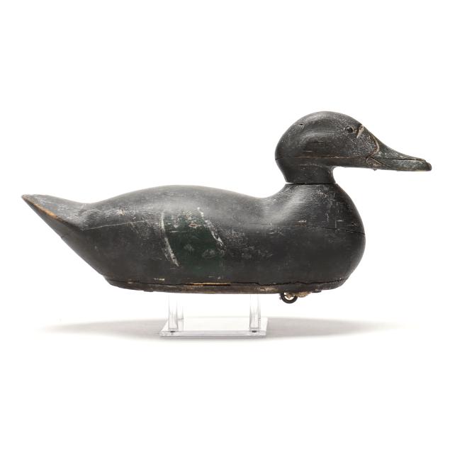early-factory-black-duck