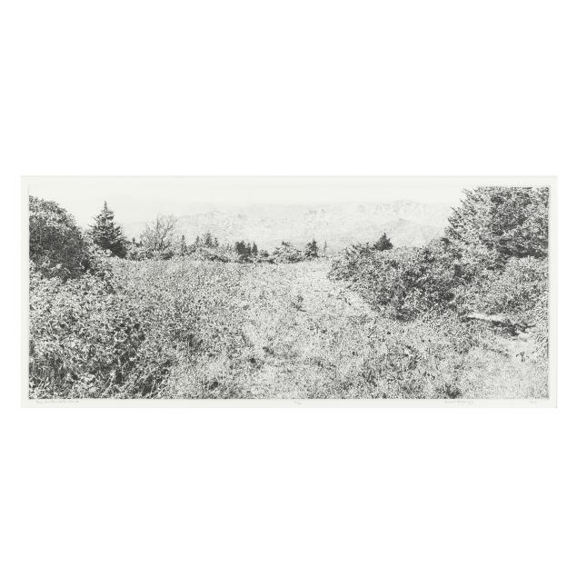 richard-mayhugh-american-i-roan-mountain-garden-series-ii-i