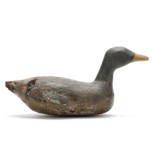 percy-carawan-nc-1910-2005-green-winged-teal