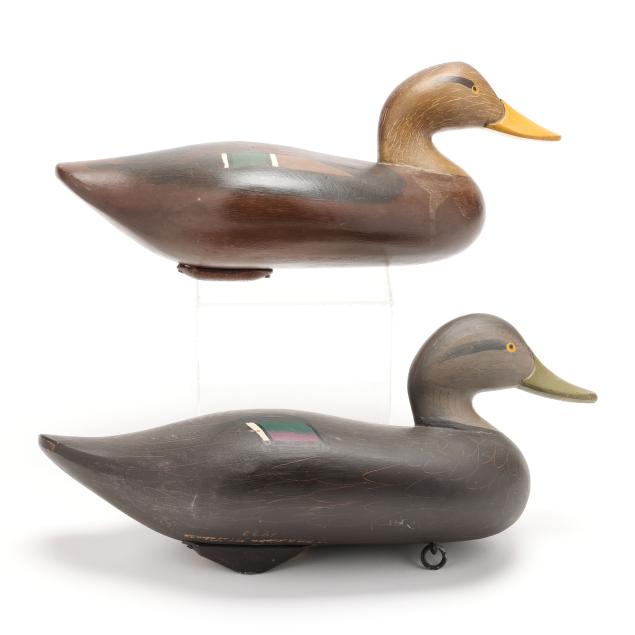 two-havre-de-grace-black-ducks